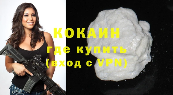 прущие грибы Аркадак