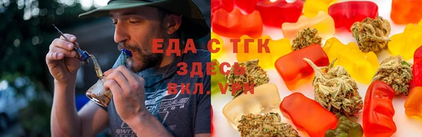 прущие грибы Аркадак