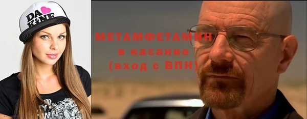 прущие грибы Аркадак