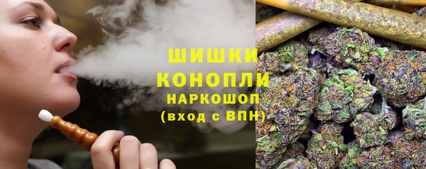 прущие грибы Аркадак