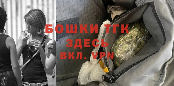 прущие грибы Аркадак