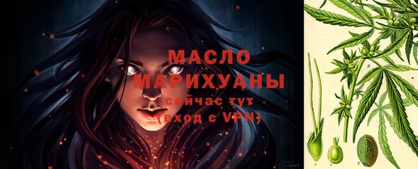 прущие грибы Аркадак