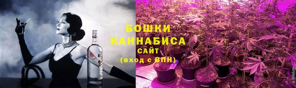прущие грибы Аркадак